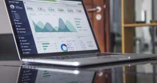 arti dari pagerank dalam bisnis online adalah