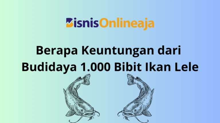 Berapa Keuntungan dari Budidaya 1.000 Bibit Ikan Lele www.bisnisonlineaja.xyz