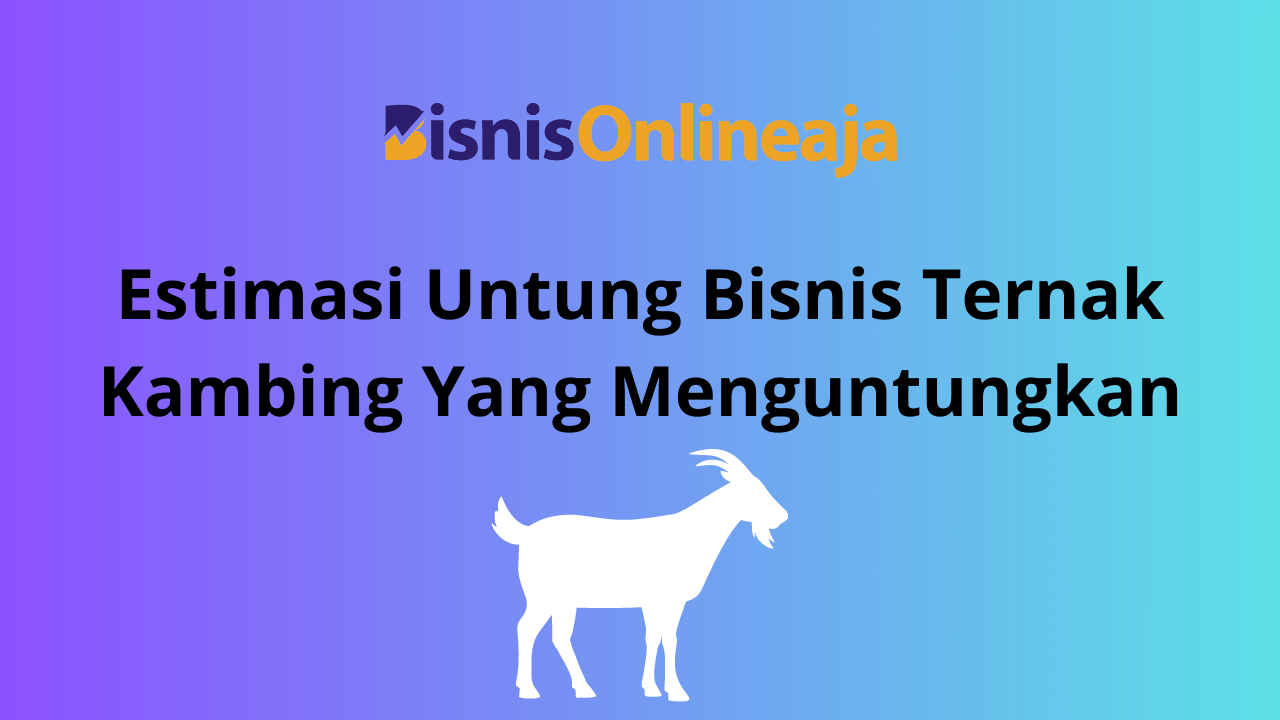 Estimasi Untung Bisnis Ternak Kambing Yang Menguntungkan www.bisnisonlineaja.xyz